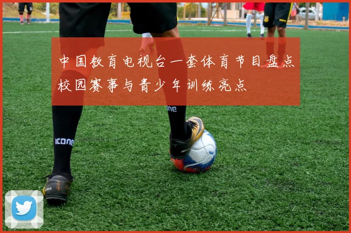 中国教育电视台一套体育节目盘点校园赛事与青少年训练亮点
