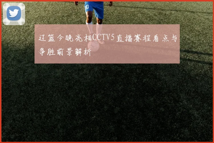辽篮今晚亮相CCTV5直播赛程看点与争胜前景解析