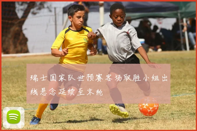 瑞士国家队世预赛客场取胜小组出线悬念延续至末轮