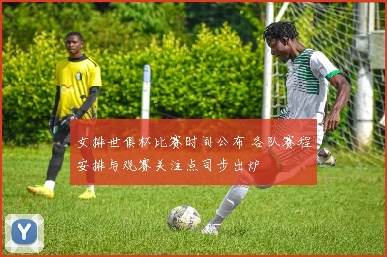 女排世俱杯比赛时间公布 各队赛程安排与观赛关注点同步出炉